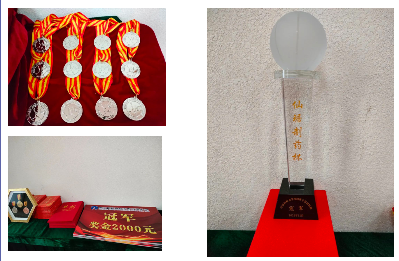 校企相助丨“bm11222宝马娱乐网站制药杯”校园男子篮球赛在沈阳药科大学? 圆满落幕-bm11222宝马娱乐网站-新闻动态
