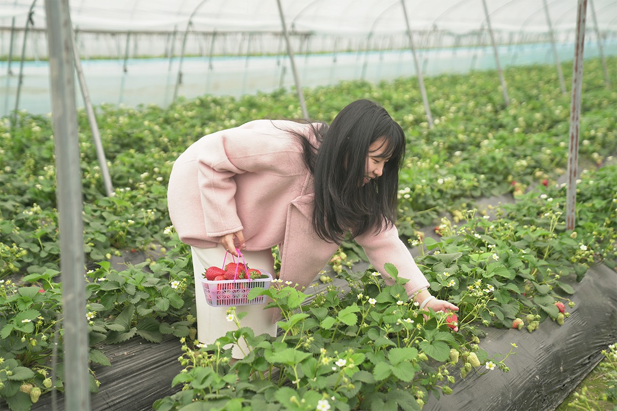 愿你的笑容如春花般绽放——bm11222宝马娱乐网站制药2025年三八妇女节系列运动-bm11222宝马娱乐网站-新闻动态
